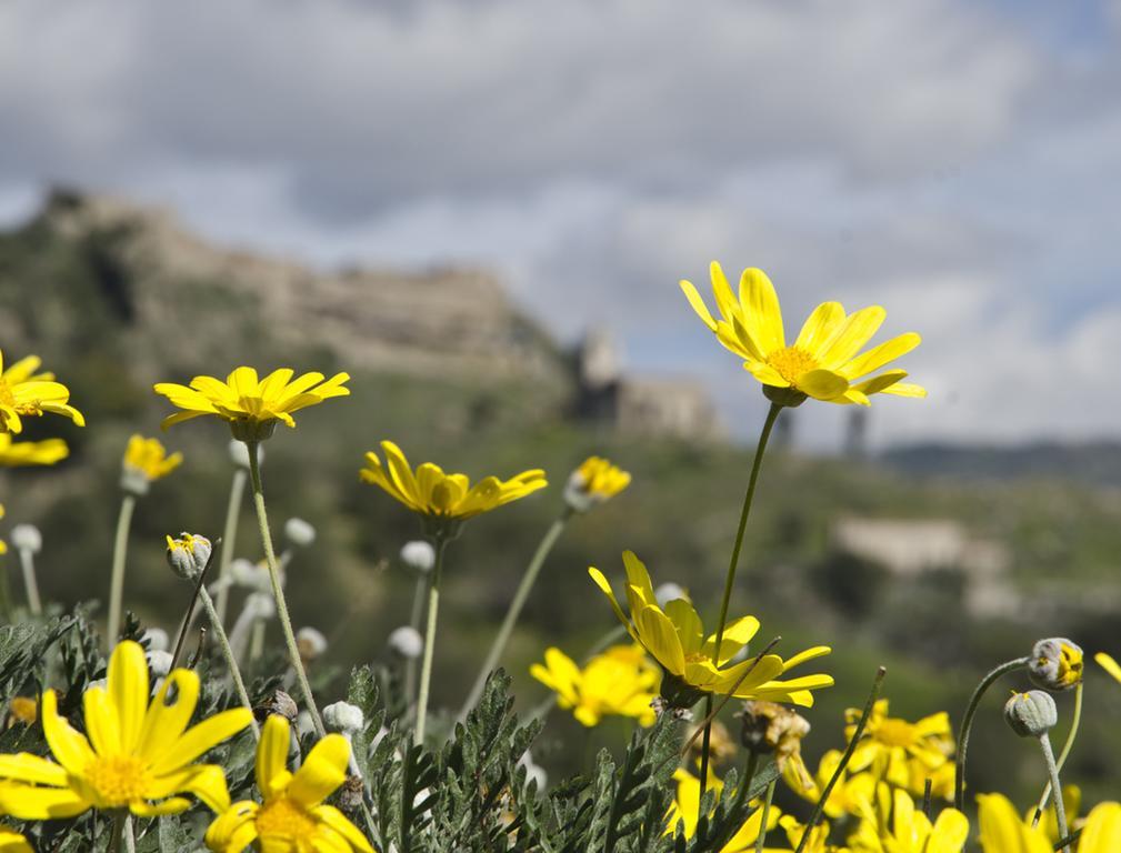 Casa Vacanza Cicirello Giardini Naxos Ruang foto